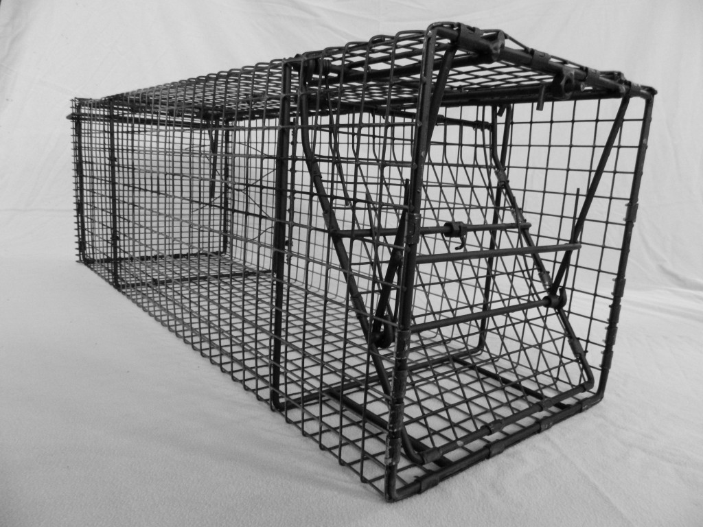 Comstock 12 x 12 Wire Triggered (Panless) Single Door Trap Comstock Custom Cages