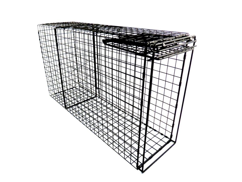 XLarge Single Door Bobcat Trap Comstock Custom Cages