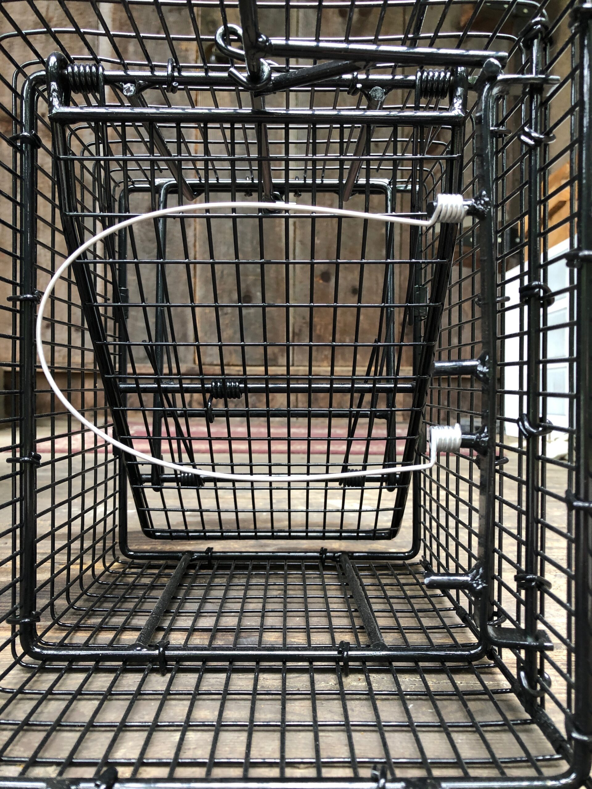 IMG_5460 Comstock Custom Cages