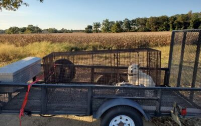 Another Happy Ending