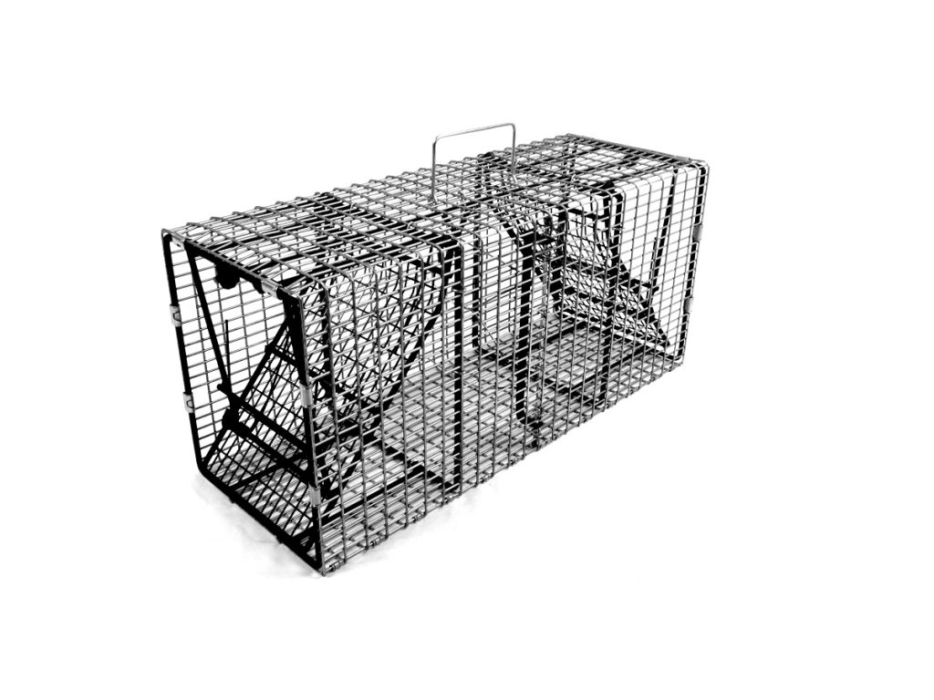 Armadillo Cage Traps: The Best Solution for Effective and Humane Trapping